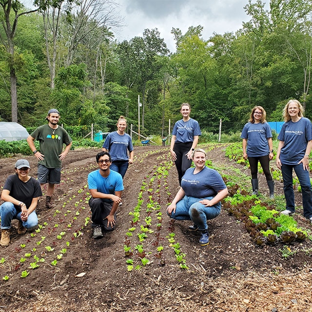 A group of Benjamin Moore employee volunteers gathered in a garden.
