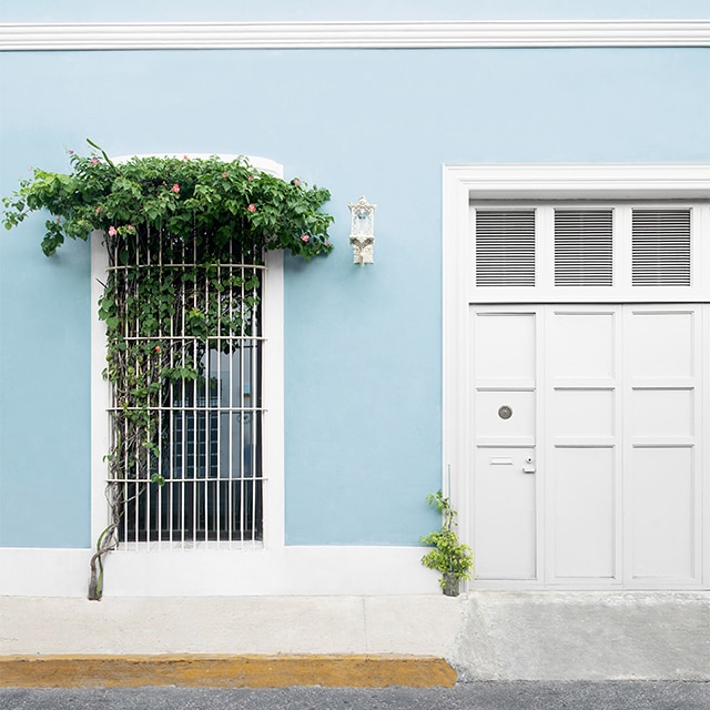 Mur extérieur bleu ciel avec porte et moulures blanches, grande fenêtre avec grille métallique blanche et vigne grimpante.