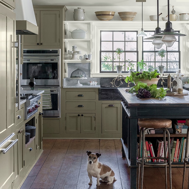 A rustic style kitchen with cabinets painted in a muted sage, white-painted open shelving, a wooden floor, kitchen island, and a dog sitting on the floor.