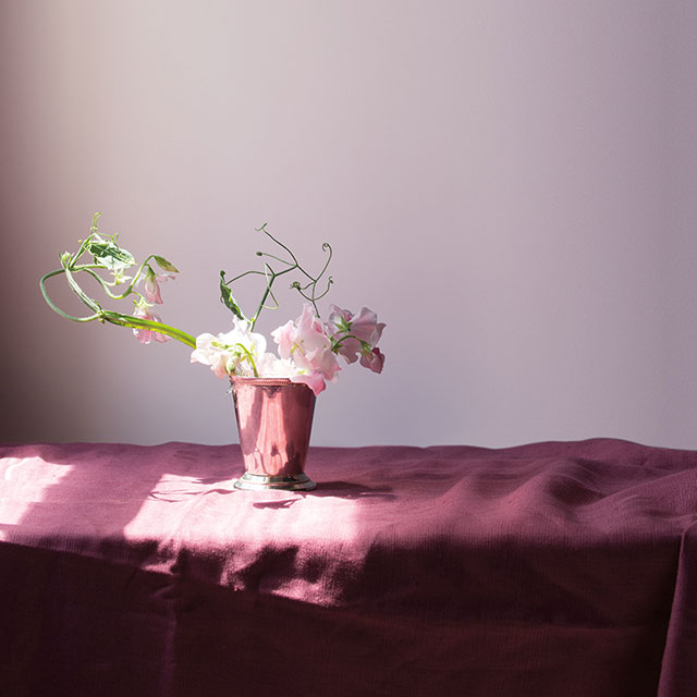 Une table recouverte d’une nappe magenta sur laquelle est posé un pot de fleurs, devant un mur pourpre.