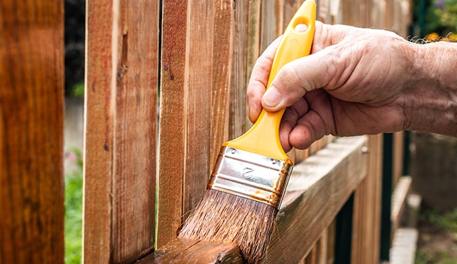 A homeowner applies stain to a wooden fence using a paintbrush.