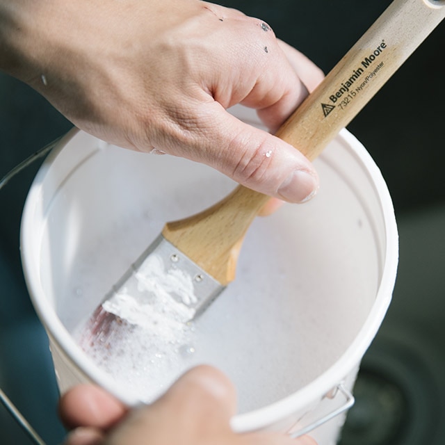 A person cleans a premium quality Benjamin Moore paintbrush.