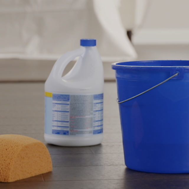Blue bucket, sponge and wall cleaner solution to prepare walls for painting.
