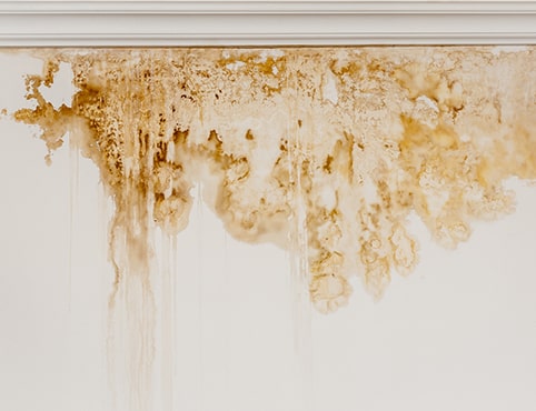 Surfactant leaching on a white interior wall.