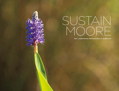 A native purple pickerelweed, as seen on Benjamin Moore premises. A native purple pickerelweed, as seen on Benjamin Moore premises.