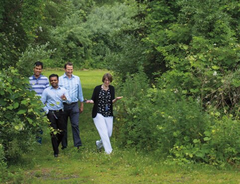Four Benjamin Moore employees walk through a grassy field, surrounded by trees and bushes.