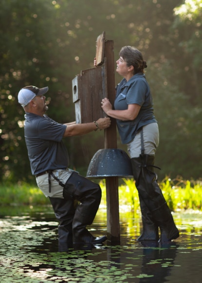 Two people placing a bird feeder in a marsh. Two people placing a bird feeder in a marsh.