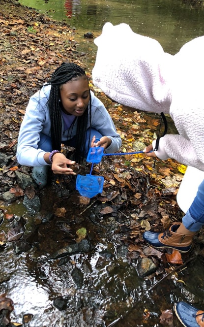 Two people search for tadpoles on a riverbank covered in leaves, using blue nets to catch and release. Two people search for tadpoles on a riverbank covered in leaves, using blue nets to catch and release.