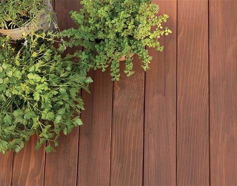 Plants sit on a redwood deck stained in ARBORCOAT Semi Solid in Fresh Brew.