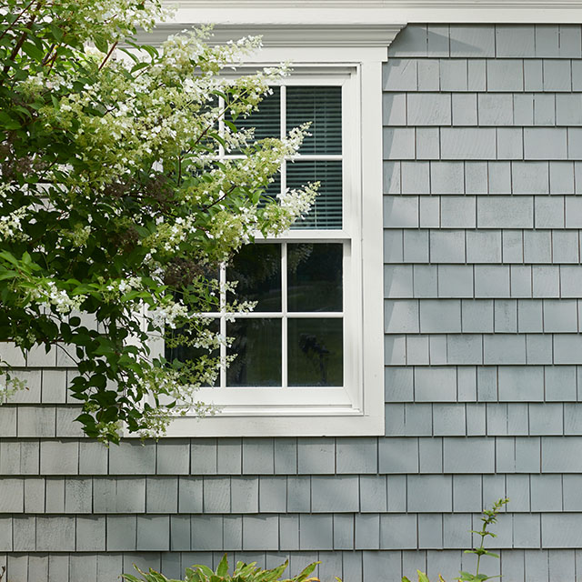 The side of a gray-painted, shingle-sided house with a white trimmed window partially covered by a white flowering tree and shrubbery.