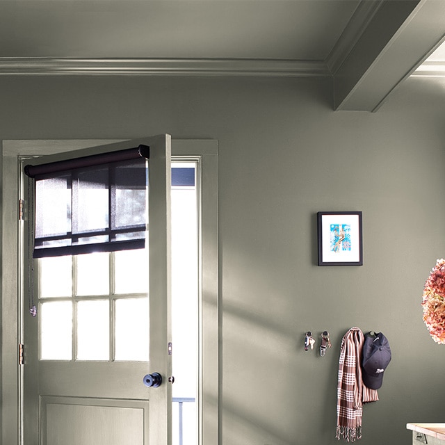 A home entryway wall, ceiling, trim, open door, all painted a green hue with a hint of gray.