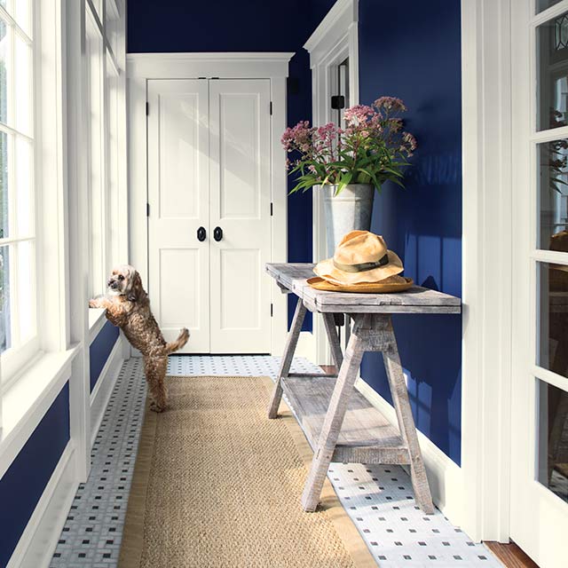 Un couloir peint en bleu marine doté de fenêtres à moulures blanches, d’une console en bois et de portes françaises.