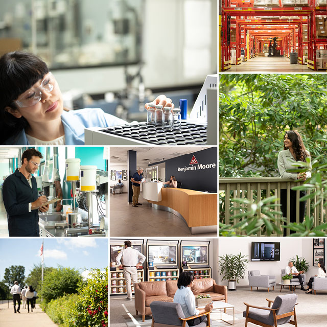 Un collage de photos montrant des employés Benjamin Moore dans leurs environnements de travail respectifs.