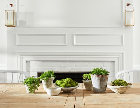 Une salle à manger aux murs blancs avec une grande table en bois, des plantes et des chaises blanches.