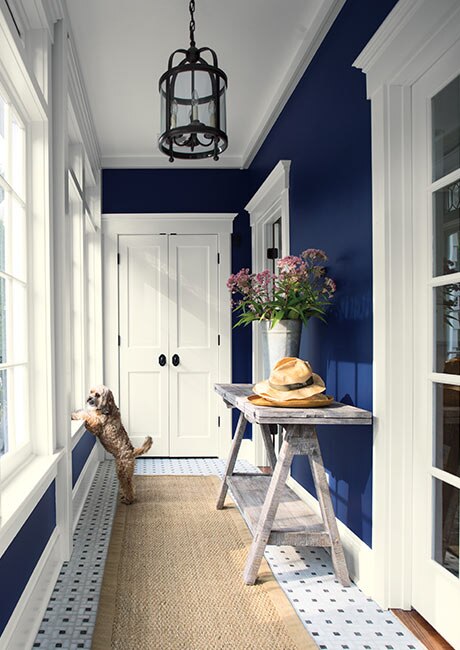 Темно-синий коридор с большими окнами, серым акцентным столом, богато украшенной люстрой и белой отделкой.