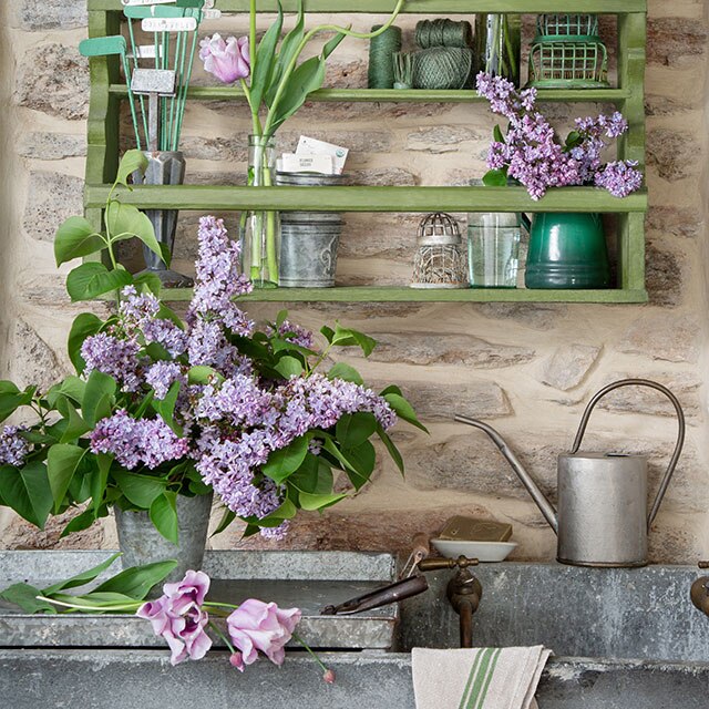 Green-stained shelving on a stone wall with gardening tools, lavender and a metal watering can, over a rustic sink.