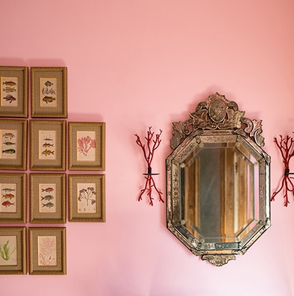 A pink-painted wall featuring a mirror and a variety of fish and flower paintings.