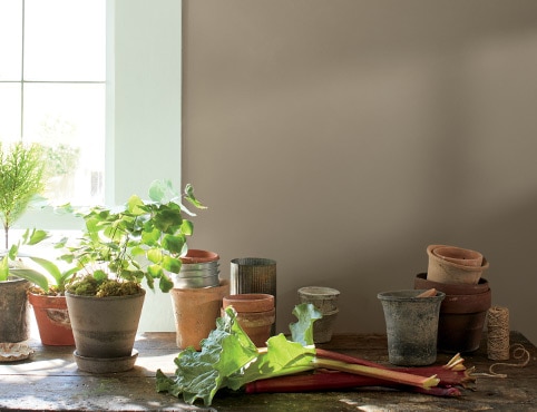 Des plantes d’intérieur en pot à côté d’une fenêtre ensoleillée, devant un mur peint en brun.
