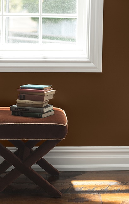 Brown paint color shop palette
