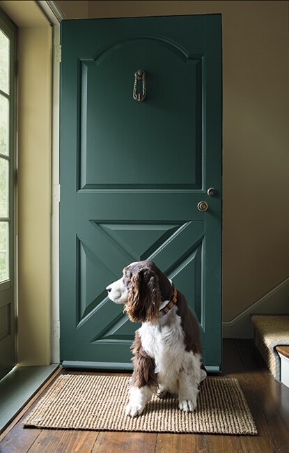 An all green-painted country style entryway with rustic hardwood floors and windowed screen door.