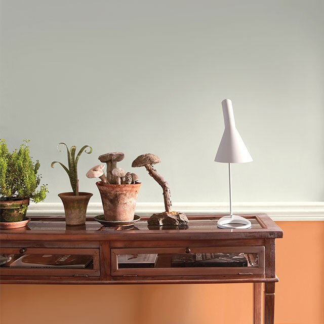 A room with white-painted upper walls and wainscotting in orange, featuring a wooden desk with plants.