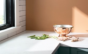 Kitchen corner with white countertops and wall painted in Potters Clay 1221.