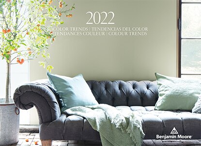 A living room with classic gray couch, green accent pillows, indoor tree, and sage green-painted walls with wood trim.