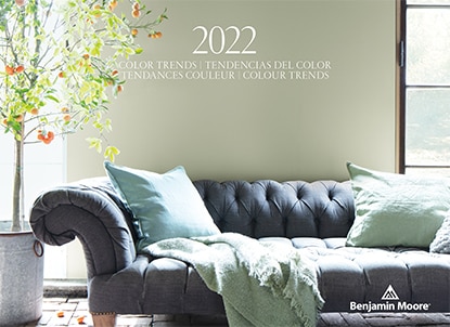 A living room with classic gray couch, green accent pillows, indoor tree, and sage green-painted walls with wood trim. A living room with classic gray couch, green accent pillows, indoor tree, and sage green-painted walls with wood trim.