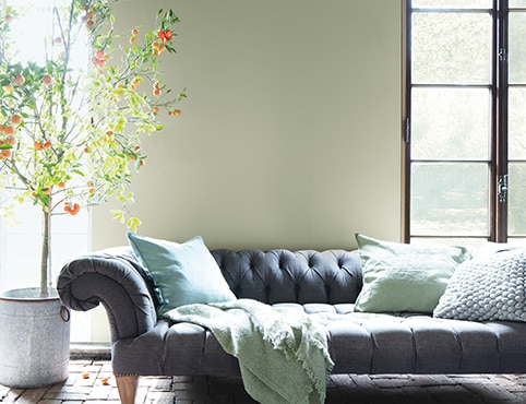 A living room with wall painted in October Mist CC-550, a sage green, with gray couch, green accent pillows, and a flowering indoor tree.