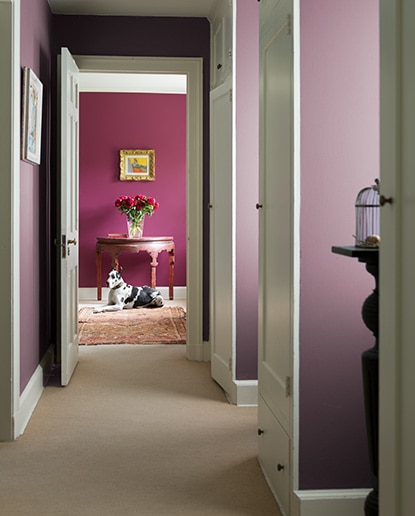 Intérieur monochrome avec un couloir violet menant à une salle magenta. Intérieur monochrome avec un couloir violet menant à une salle magenta.