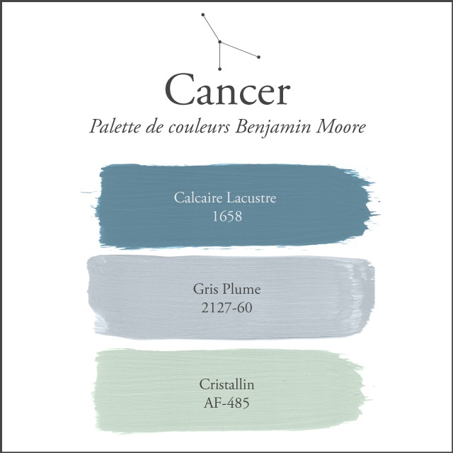 La palette de couleurs du Cancer sur un fond blanc.