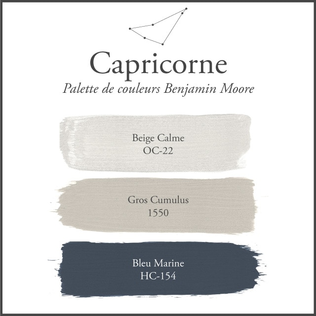 La palette de couleurs du Capricorne sur un fond blanc.