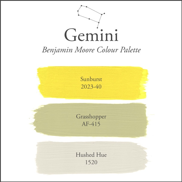 A white background with the Gemini paint colour palette.