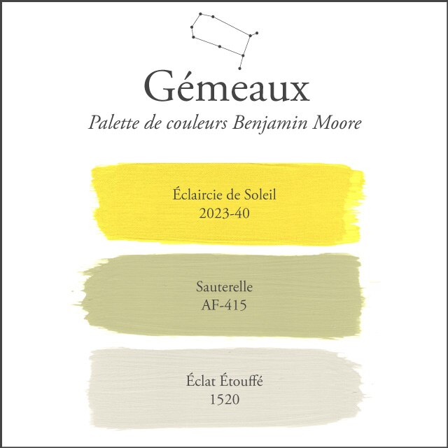 La palette de couleurs des Gémeaux sur un fond blanc.