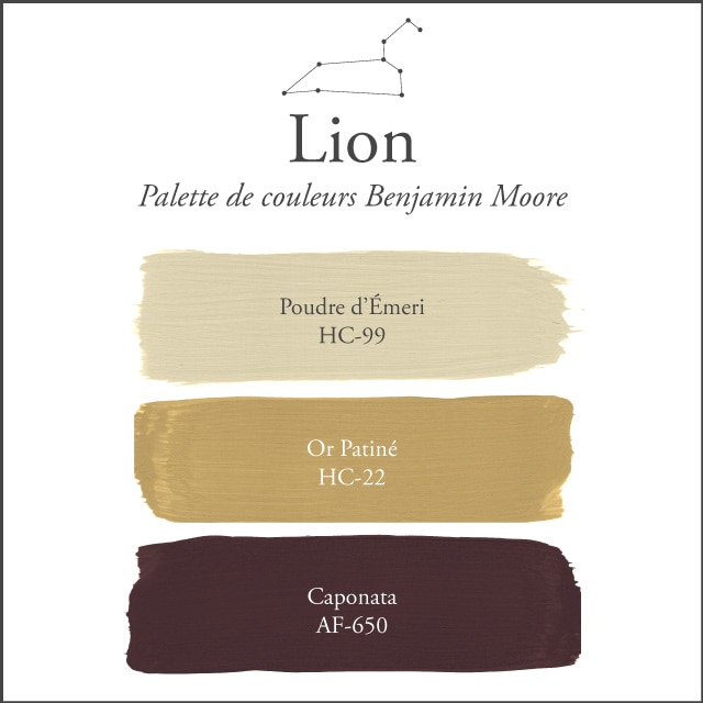 La palette de couleurs du Lion sur un fond blanc.