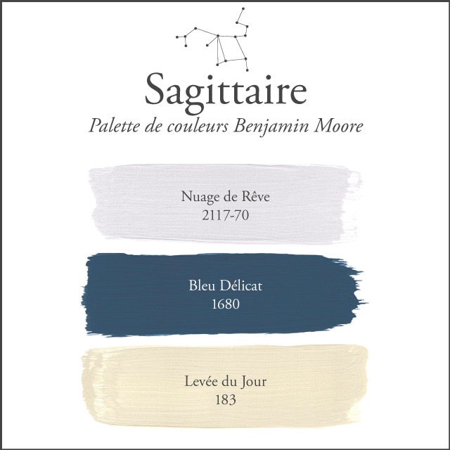 La palette de couleurs du Sagittaire sur un fond blanc.