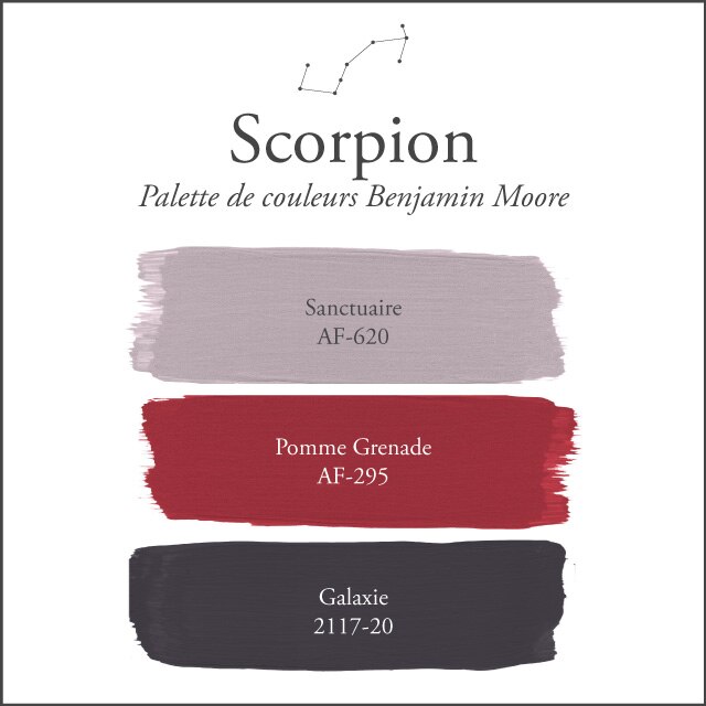 La palette de couleurs du Scorpion sur un fond blanc.