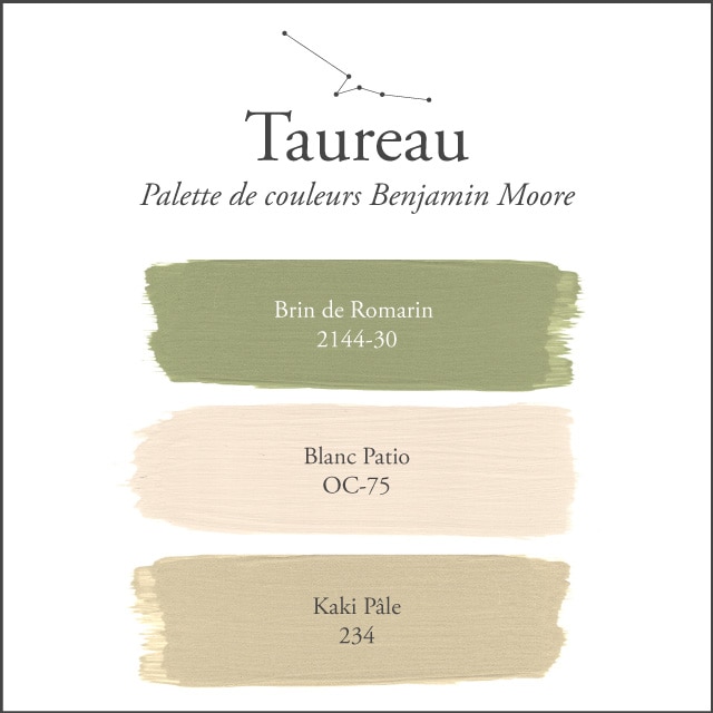 La palette de couleurs du Taureau sur un fond blanc.
