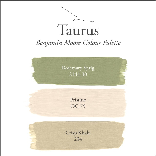 A white background with the Taurus paint colour palette.