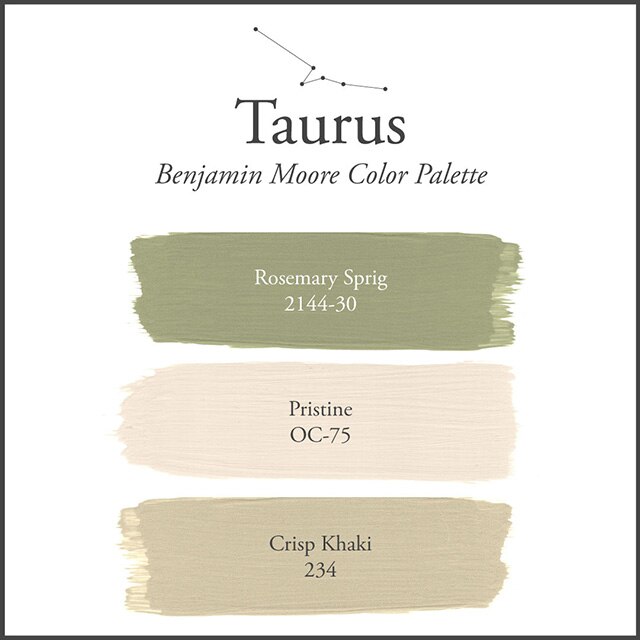 A white background with the Taurus paint color palette.