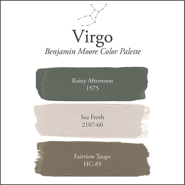 A white background with the Virgo paint color palette.