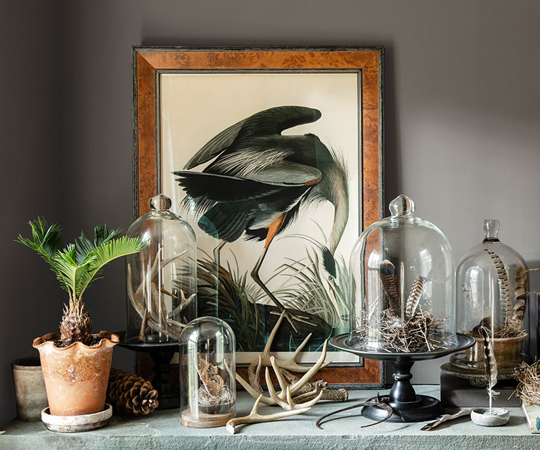 A stone shelf featuring autumnal flora and fauna against a deep gray-painted wall.