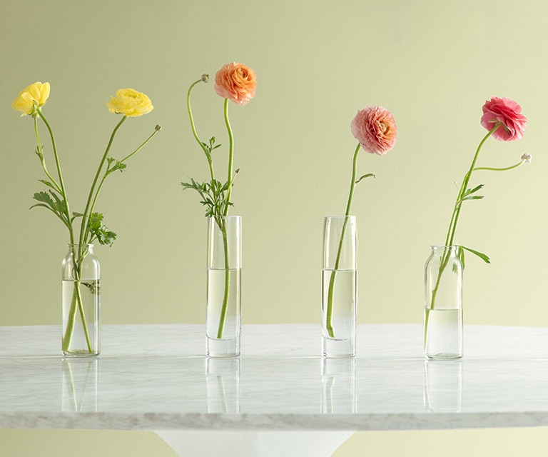 A soft green wall painted in Fernwood Green frames several flowers in glass vases.