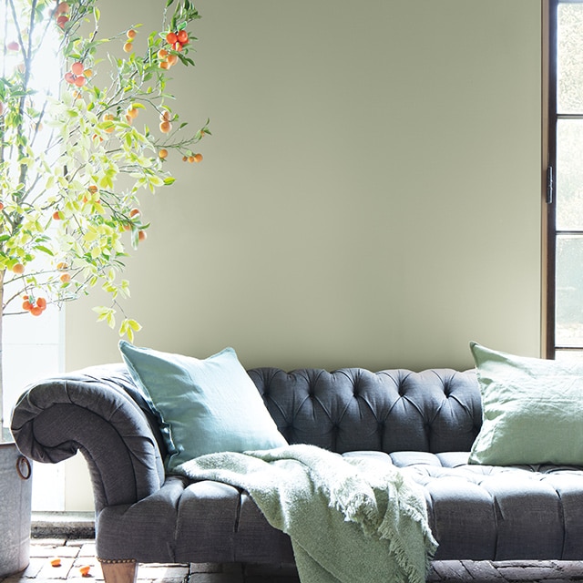 Salon avec un canapé profond de couleur grise, des coussins verts, un arbre en pot et des murs vert sauge avec des moulures en bois.