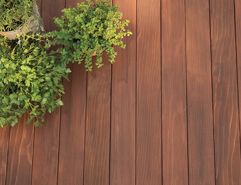 Potted outdoor plants on a redwood deck. Potted outdoor plants on a redwood deck.