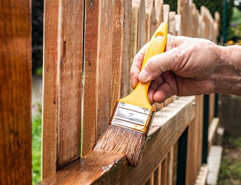 A homeowner applies stain to a wooden fence using a paintbrush.