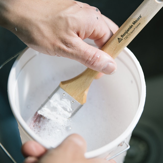 Una persona limpia una brocha Benjamin Moore de primera calidad.