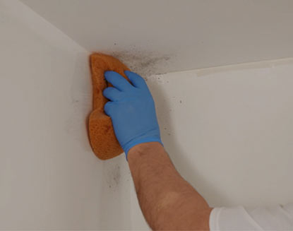 How to remove mildew to prepare wall for painting.