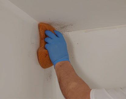 How to Clean Walls 2024 - Cleaning Painted Walls