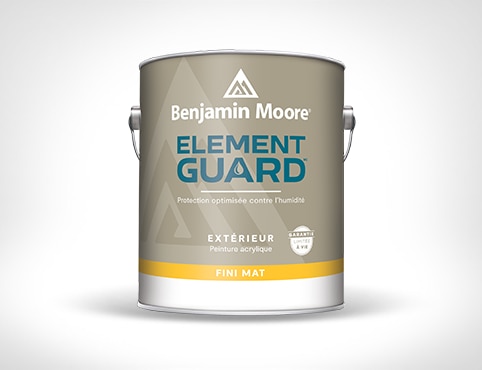 Peinture d'extérieur Element Guard